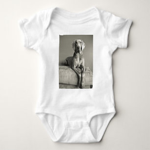 Body Portrait de Weimaraner