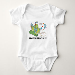 Body Producteur de protéine (synthèse de protéine de