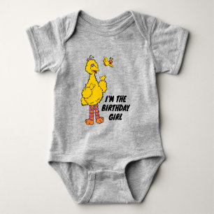 Body Rue Sésame   Big Bird & Little Bird Anniversaire