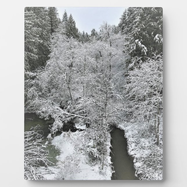 Boeckman Creek im Winter Fotoplatte (Vorderseite)