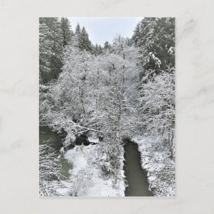 Boeckman Creek im Winter, Oregon Postkarte
