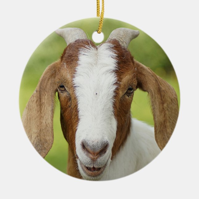 Boer Goat Nanny Kid Keramik Ornament (Vorne)