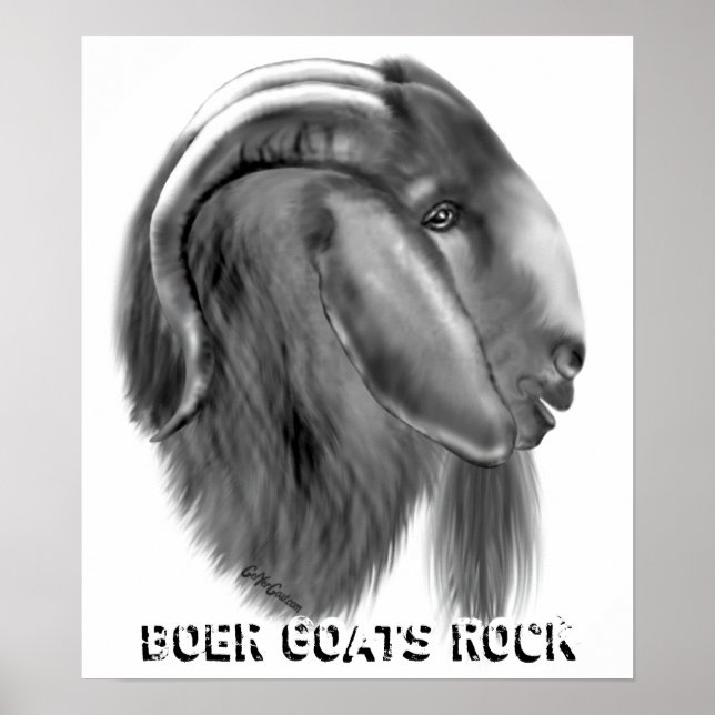 Boer Goat Poster (Vorne)