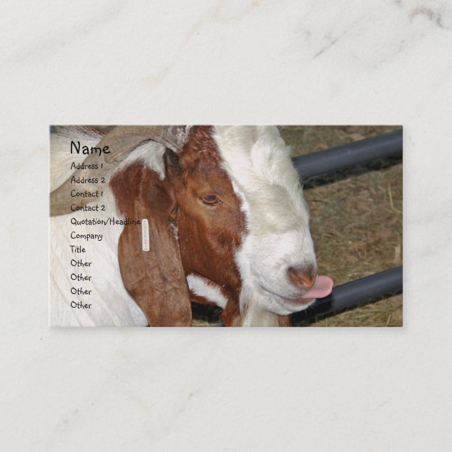 Boer-Ziege, der seine Zunge aufklebt Visitenkarte (Vorderseite)