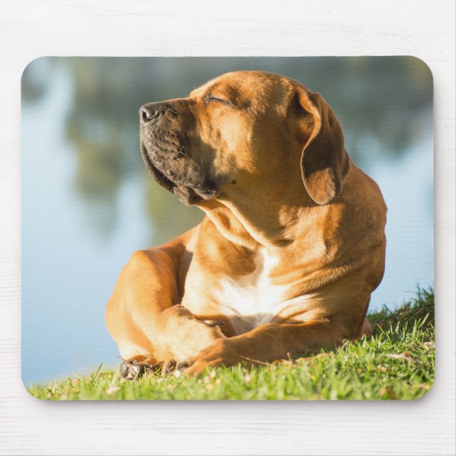 Boerboel Gel Mouse Pad Mousepad (Vorne)