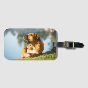 Boerboel Gepäckanhänger