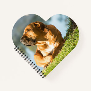 Boerboel Notizbuch