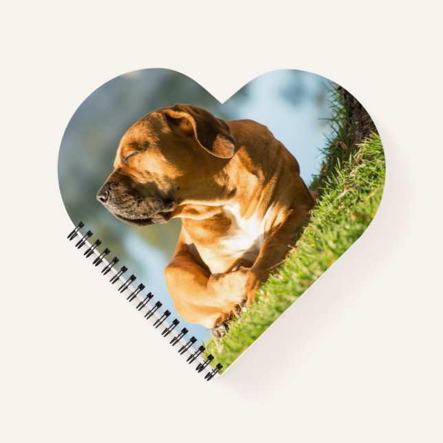 Boerboel Notizbuch (Vorderseite)