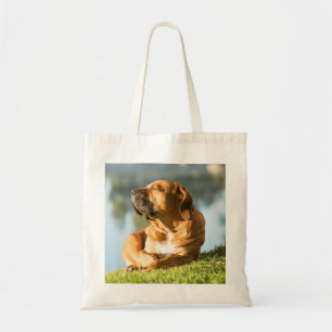 Boerboel Tragetasche