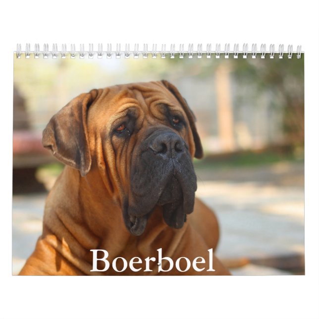 Boerbol chien Calendrier (Protection)