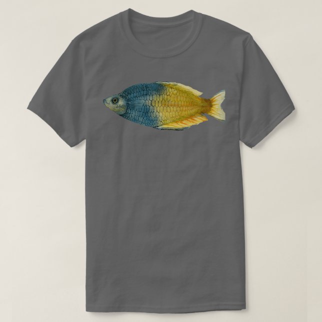 Boesemani Rainbowfish T-Shirt (Design vorne)