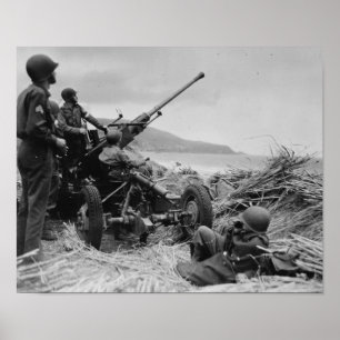 Bofors-OM Gewehr Poster