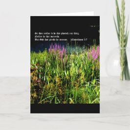 Bog Garden mit 1 Korinthen 3:7 Dankeskarte