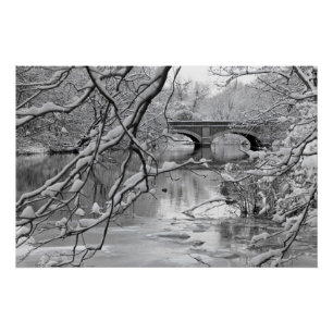 Bogen-Brücke über gefrorenem Fluss im Winter Poster