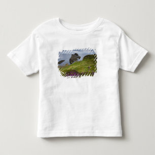 Bogen-Geigen-Felsen, Portknockie, Schottland Kleinkind T-shirt