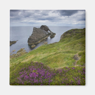 Bogen-Geigen-Felsen, Portknockie, Schottland Magnet
