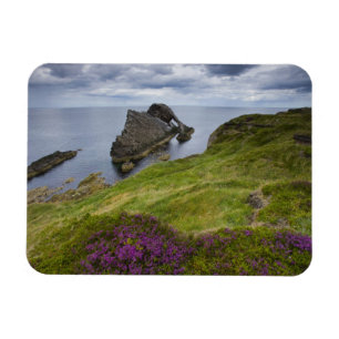 Bogen-Geigen-Felsen, Portknockie, Schottland Magnet
