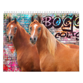BOGO Colts 2-Jährige Fotos Kalender