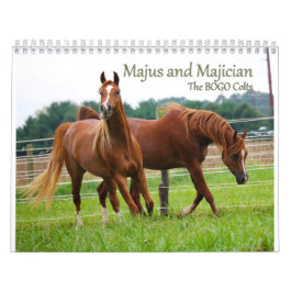BOGO Colts tragen 3-Jährige pics ein Kalender