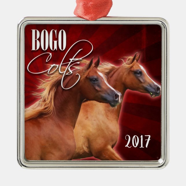 BOGO sprengte Verzierung 2017 Ornament Aus Metall (Vorne)