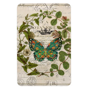 bohemianische Schriften französischer botanischer Magnet