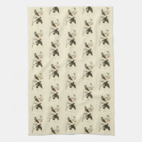 Bohemisch Chatterer (Waxwing) Audubon Birds Americ