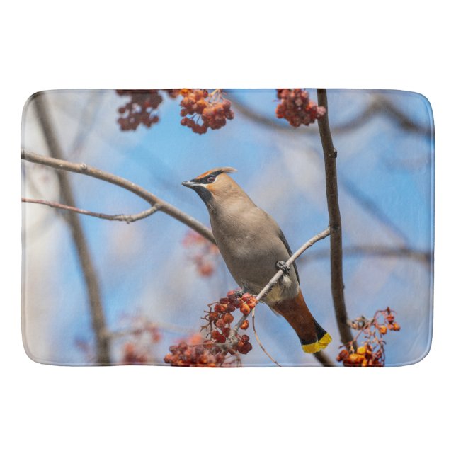 Bohemische Flügel, Vogel mit blauem Hintergrund Badematte (Vorderseite)