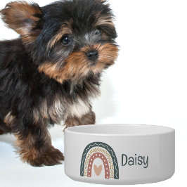 Bohemisches Rainbow Monogram Pet Fütternd Napf