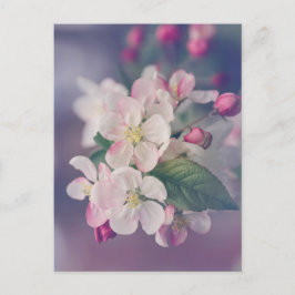 Boho Ästhetische Postkarte 018