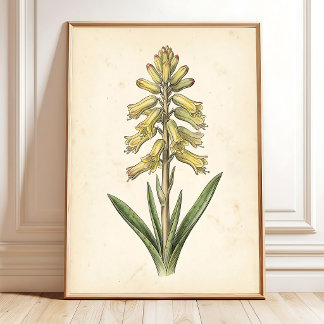 Boho-Botanik-Galerie-Wandkunst Poster