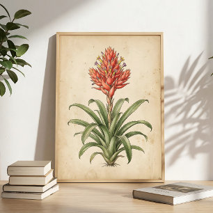 Boho-Bromelien-Blumenkunst - Leinwanddruck oder Ra Poster