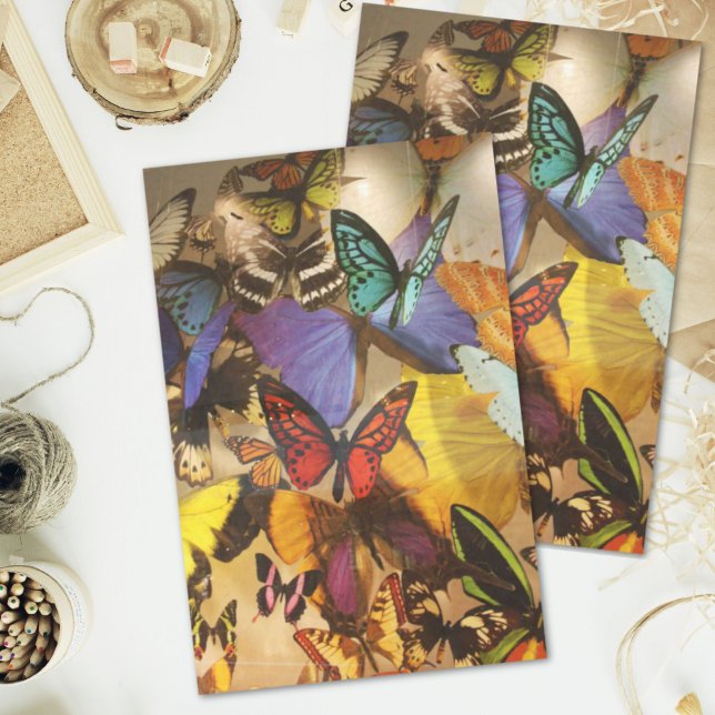 Boho burgundy orange farbenfroher tropischer Schme Seidenpapier (boho burgundy orange colorful tropical butterfly tissue paper)