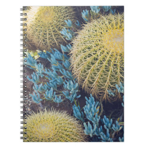 Boho Cactus Garden Notizblock