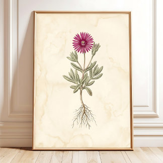 Boho Delosperma Botanische Leinwandkunst Poster