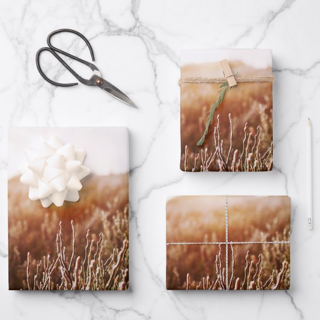 Boho Grass Field Foto-Geschenk Geschenkpapier Set (Vorderseite)