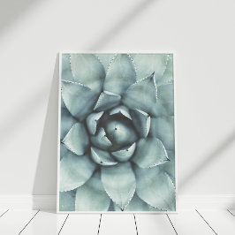Boho Sage Green Succulate Closeup Poster