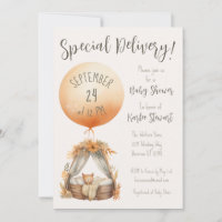 Boho Special Delivery Balloon Babydusche