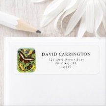 Boho Vintage Butterfly Collection