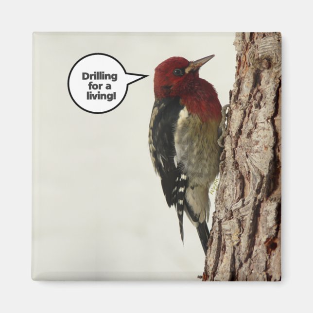 Bohren für einen lebenden Magneten Magnet (Vorne)