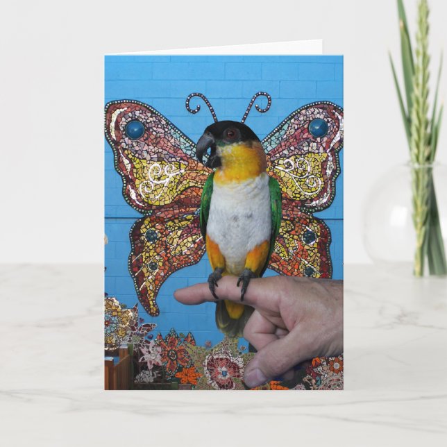 Boingo Schmetterlingskarte 2 Karte (Vorderseite)