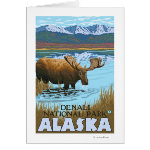 Boire de l'orignal au lac - Parc national Denali,