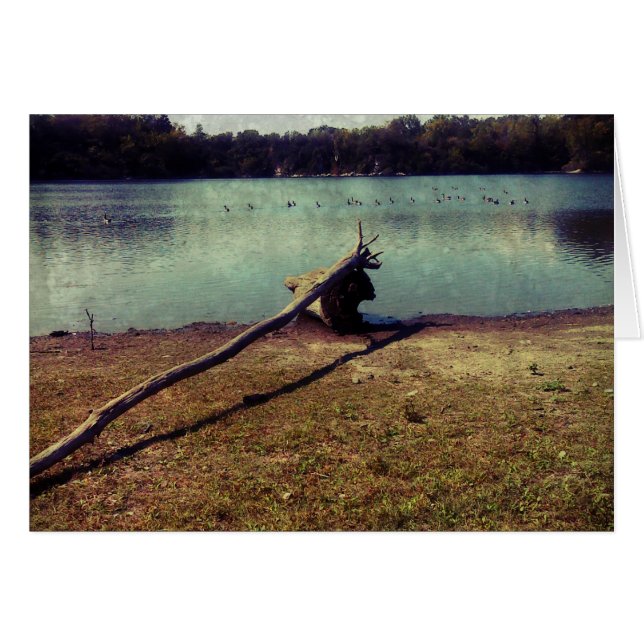 Bois (Devant horizontal)