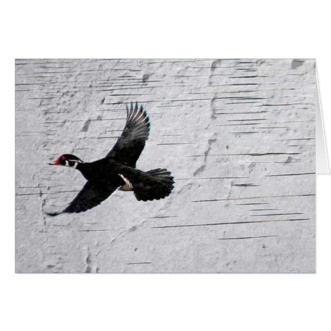 Bois (Devant horizontal)