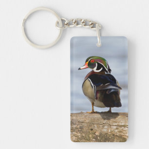 Bois Canard mâle en bois sur la bille dans les ter