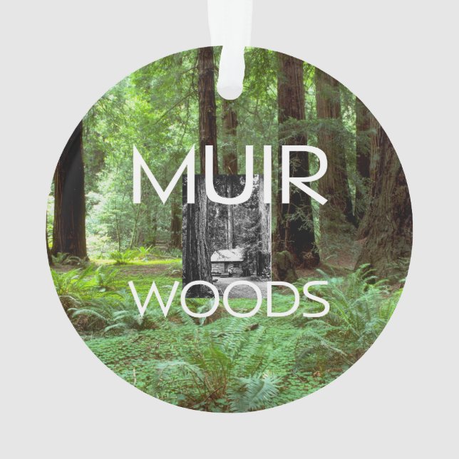 Bois d'ABH Muir (dos)