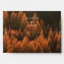 Bois d'automne minimaliste