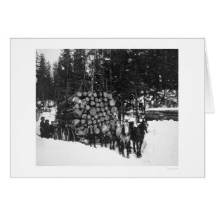Bois de charpente transportant Seward, Alaska 1919