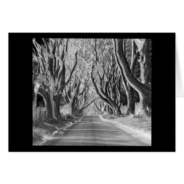 Bois éffrayant (Devant horizontal)