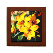 Fleurs vives