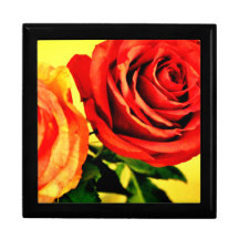 Roses florissants